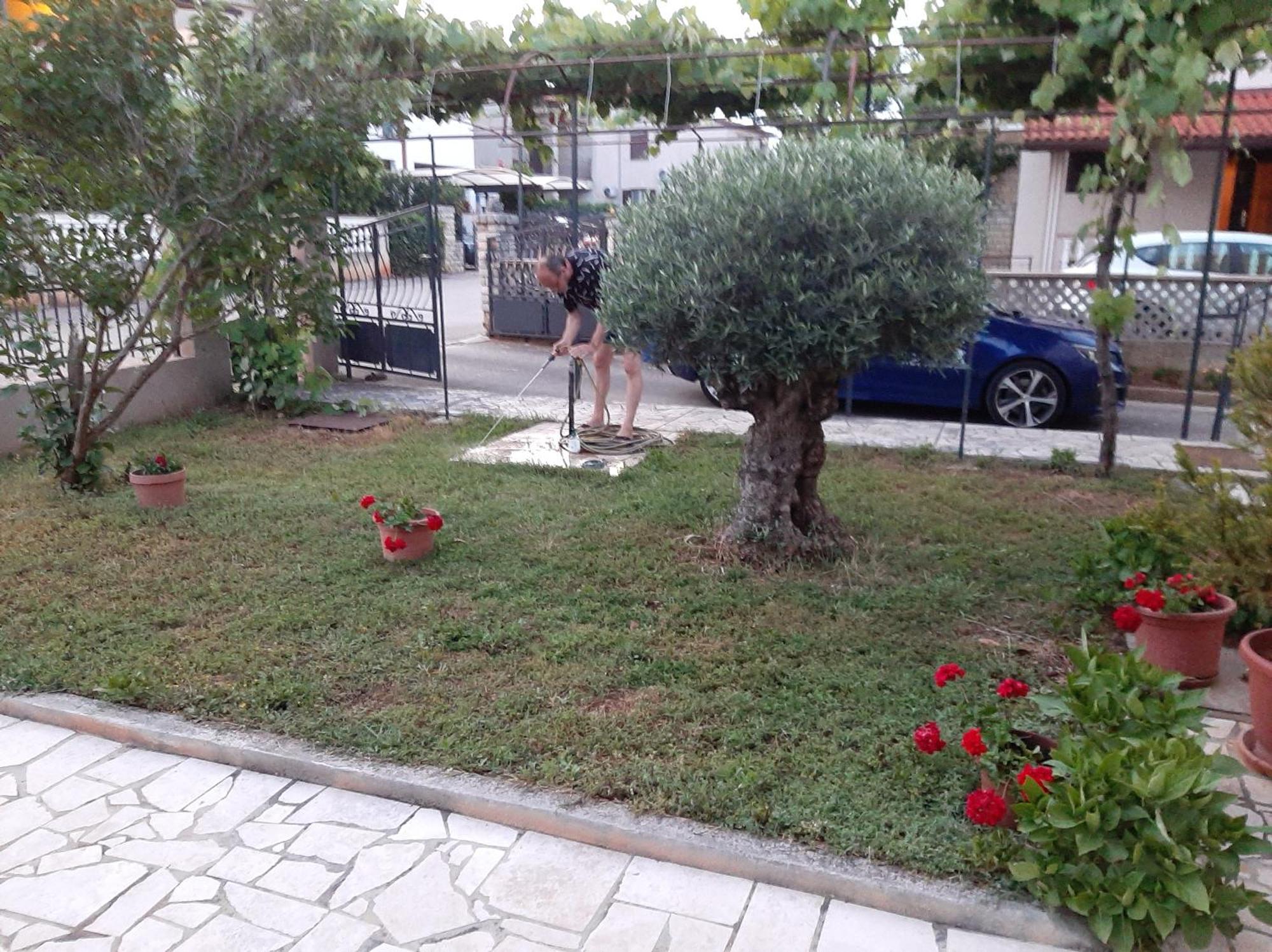 Apartment Stefania Rovinj Zimmer foto